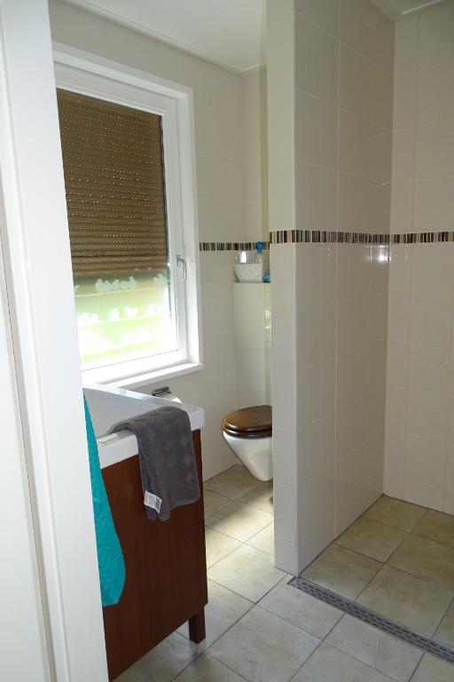 LoerbeekBeekse Brink的一间带卫生间、水槽和窗户的浴室