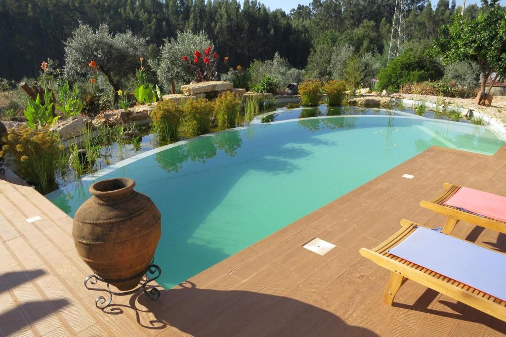 AvelarCasa Azul self-catering apartment with gorgeous biological swimming pool的一个带桌子和花瓶的大型游泳池