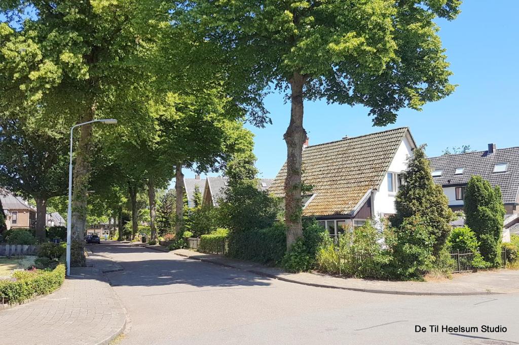 赫尔桑姆De Til Heelsum的一条有房屋、街灯和树木的街道