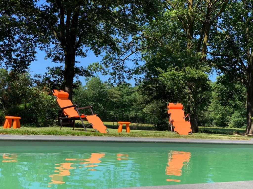 GeijsterenThe Annex Retreat - a luxury countryside villa的两把橙色椅子坐在水塘边