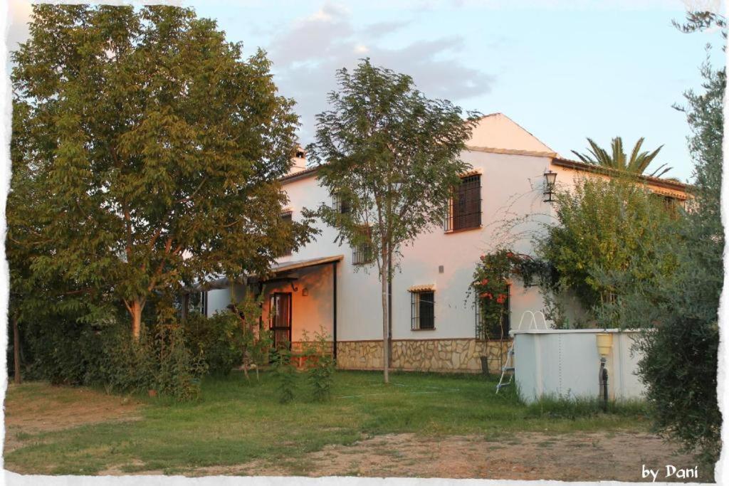 马尔莫莱霍La Aragonesa的前面有树木的白色房子
