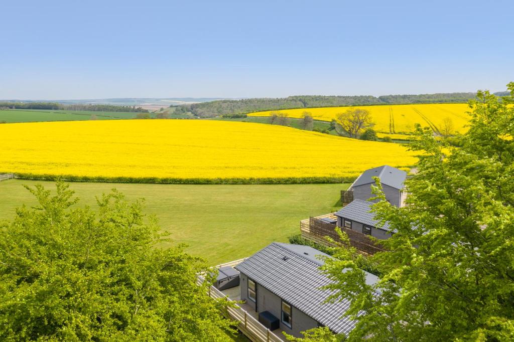 HuggateWolds Away的黄色花田中房屋的空中景观
