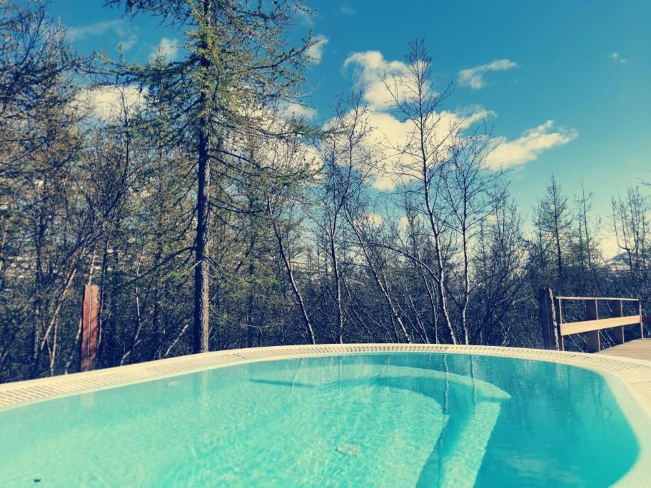 阿克雷里Hotel Kjarnalundur- Aurora Dream - Lodges and Rooms的一个倒着树木的游泳池