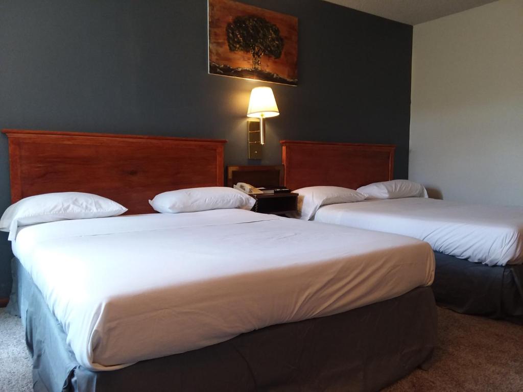 拉勒米拉勒米美洲最佳价值酒店的酒店客房,设有两张床和一盏灯