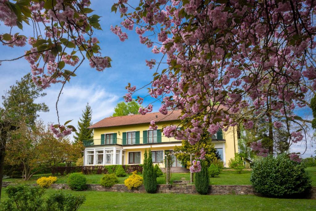 BerghamLandhaus zu Kürenberg的前面有一棵开花的树的房子