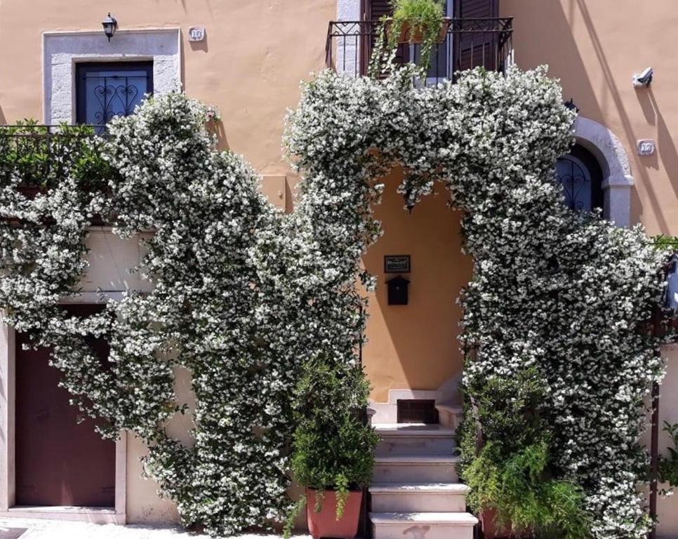 Palo del ColleB&B Il Principe的一座建筑,上面有一堆白色的花