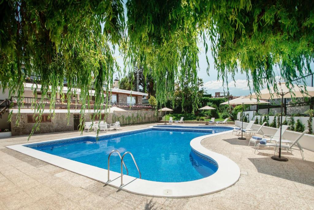 GójarFinca la Cabaña的游泳池上方有椅子和一棵树