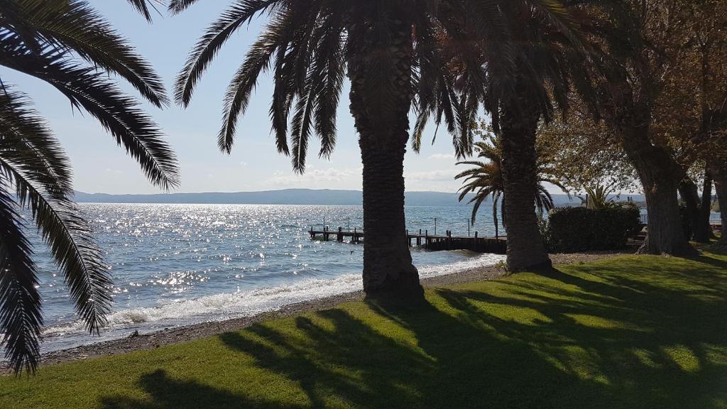博尔塞纳依东苏拉格酒店的享有棕榈树海滩和大海的景色
