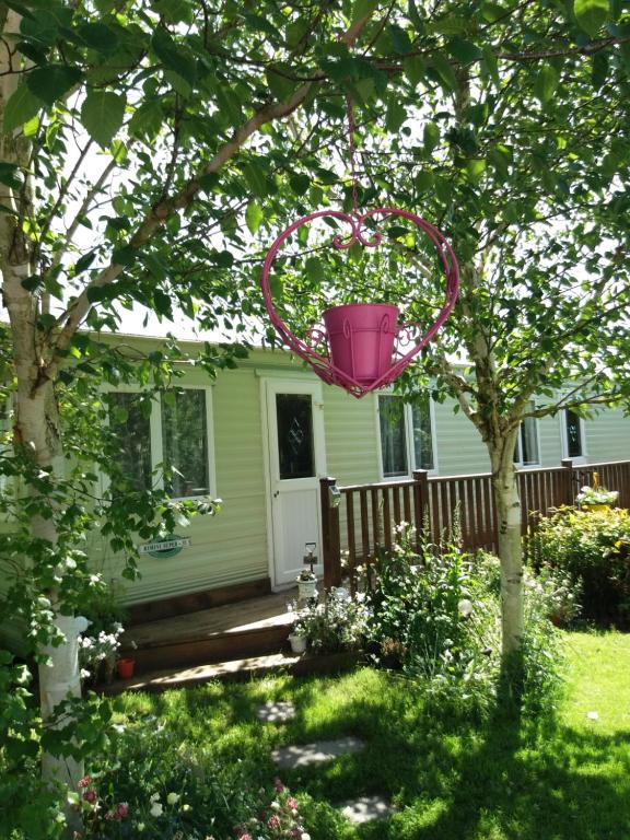 BorrisoleighHills View Accommadation的挂在房子前面的树上的粉红色篮子