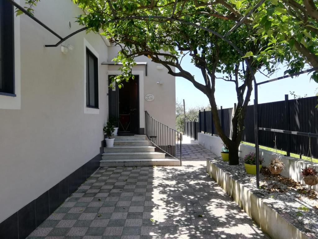 托雷德尔格雷科B&B Guest Armonie的通往白色房子的楼梯,有树