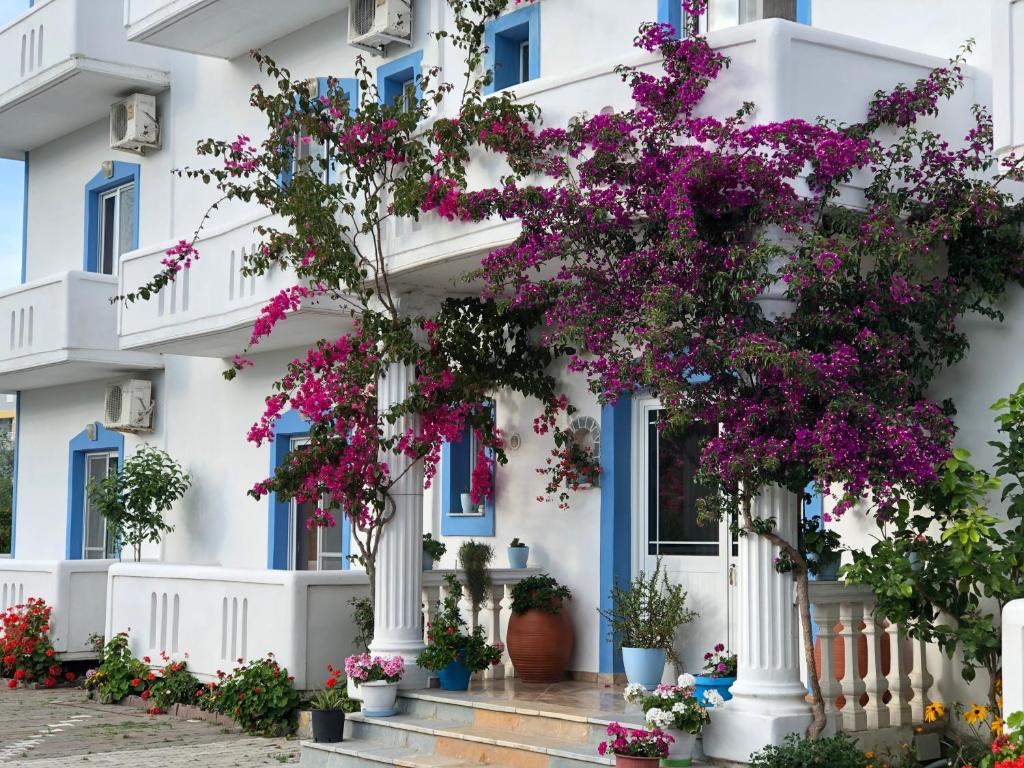 圣金Romantika的白色的建筑,有蓝色的窗户和紫色的鲜花
