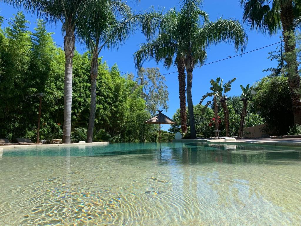 戛纳戛纳圣巴特别墅酒店的棕榈树环绕的水池