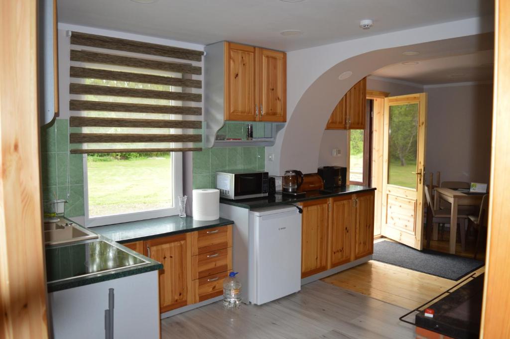阿卢克斯内Piepilsēta的厨房配有木制橱柜、水槽和窗户。