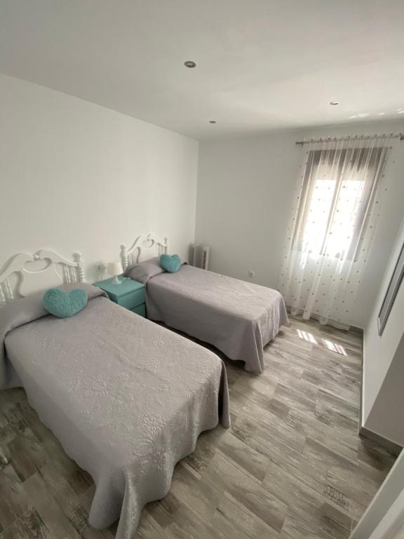 科尼尔-德拉弗龙特拉Conil Apartment的一间卧室设有两张床和窗户。