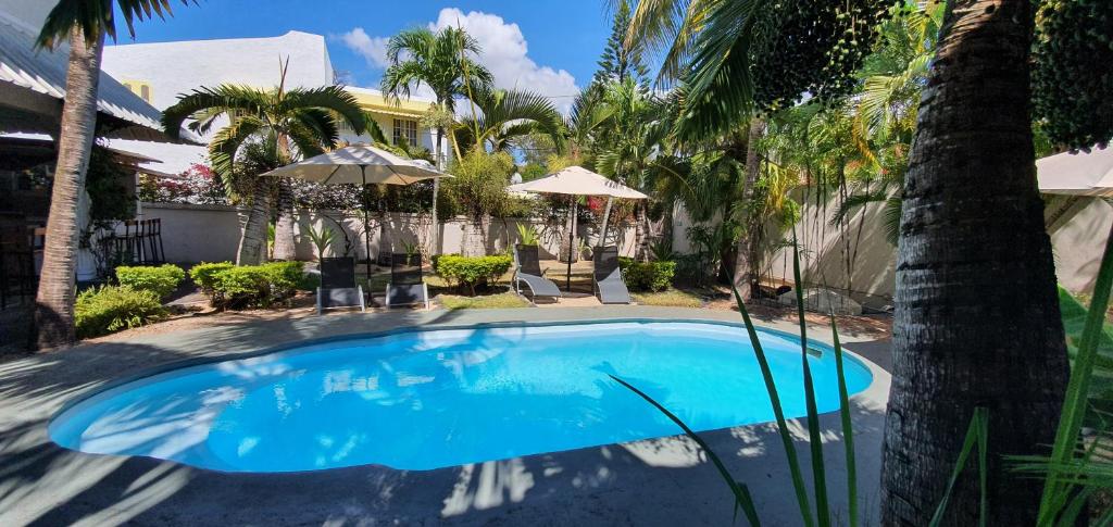 蓝海湾探索声望住宿加早餐旅馆的棕榈树庭院内的游泳池