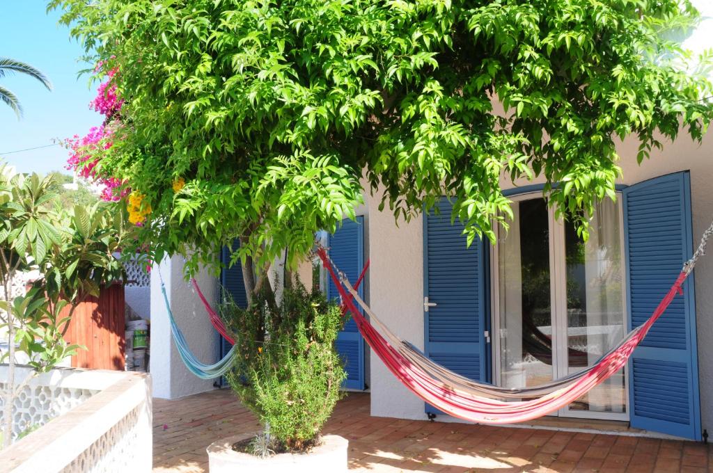 卢斯Jho'La Surf Camp的挂在房子前面的树上的吊床