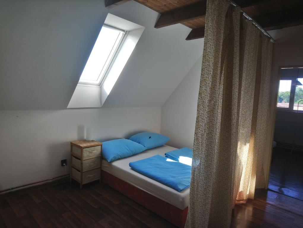Němčičky安卡小屋酒店的一间卧室配有一张带蓝色枕头的床和一扇窗户。