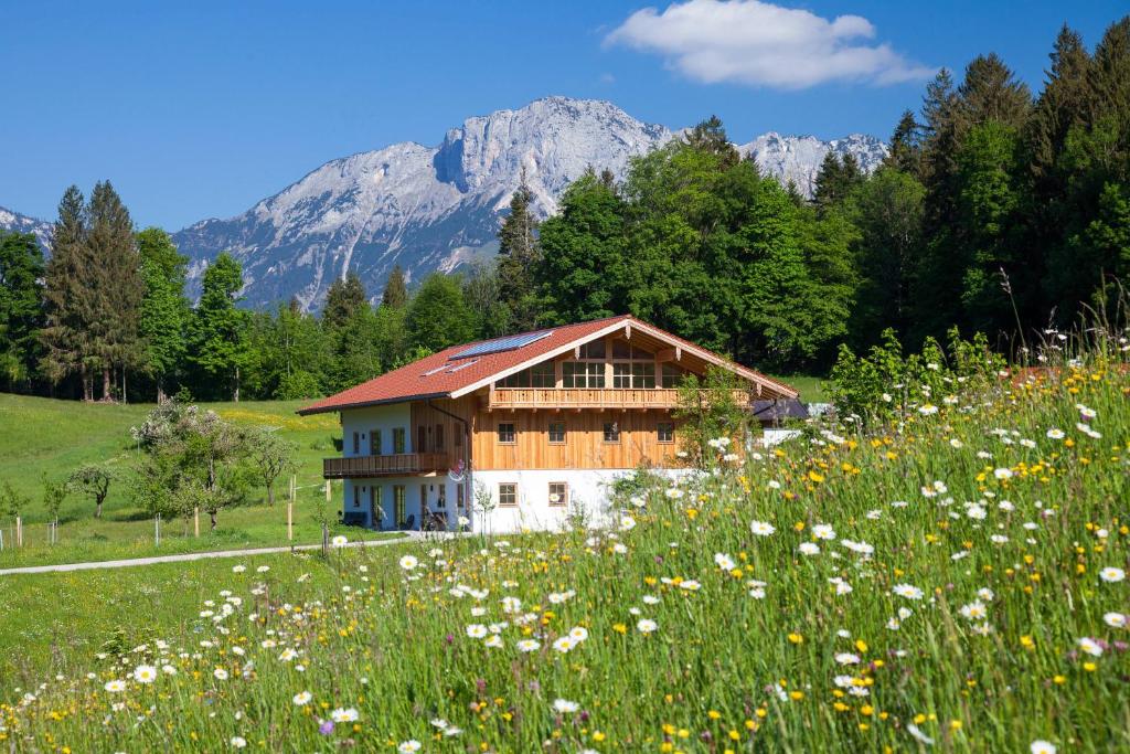 贝希特斯加登Malterlehen-Berchtesgaden的山地花田中的房屋