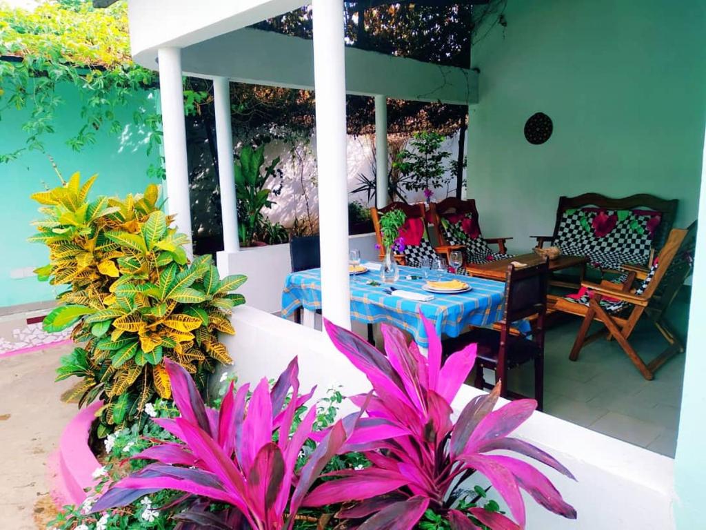 KafountineCan Teranga的一个带桌子和一些植物的庭院