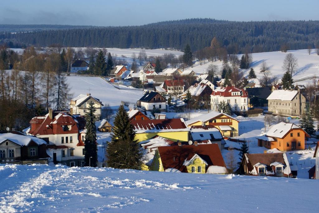 PerninkPenzion "Apartmány U Semušky"的山丘上被雪覆盖的小镇