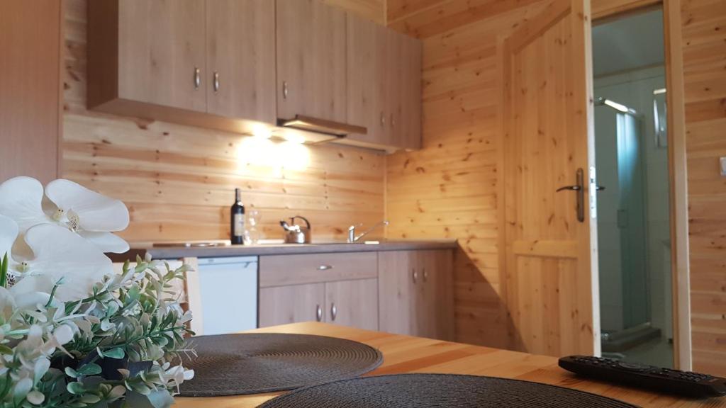 里沃Willa Aleksander的厨房设有木墙、桌子和水槽