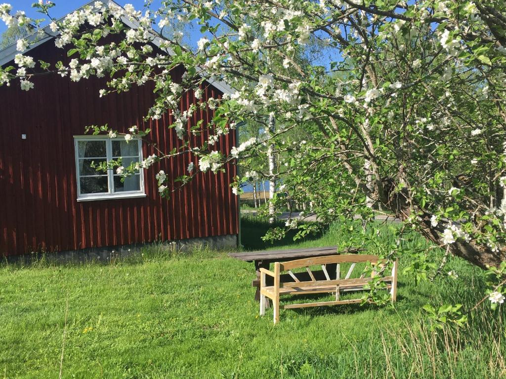 MalingsboTättas stuga på Malingsbo Herrgård的坐在建筑物旁边的草上木凳