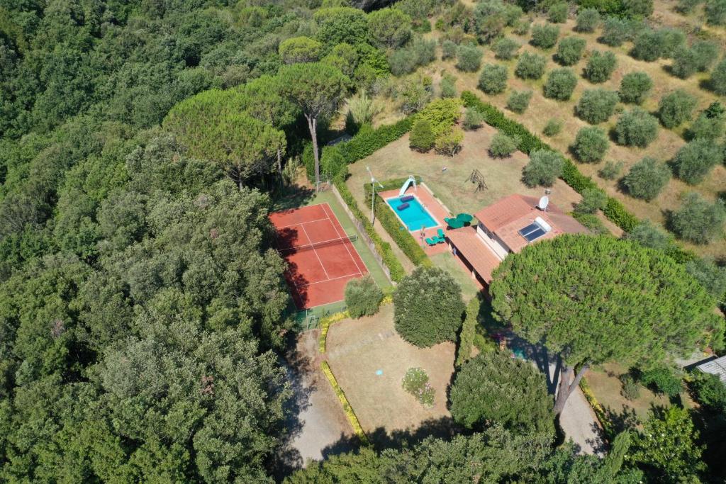 里帕尔贝拉Tenuta Fontespadini的享有带游泳池和树木的度假屋的顶部景致