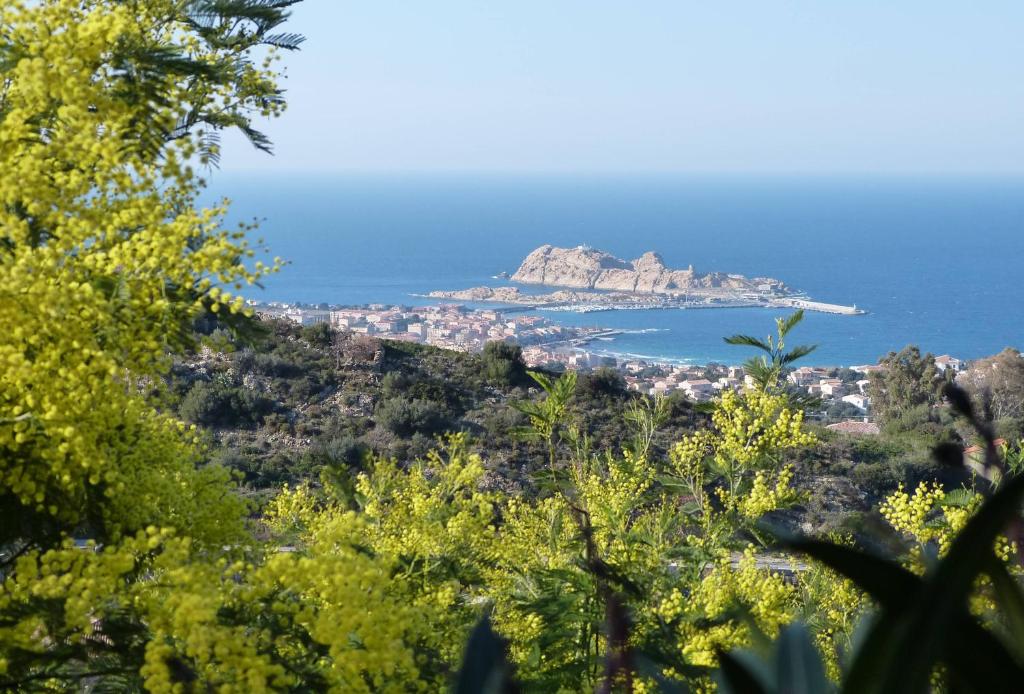 蒙蒂塞洛维斯塔迪索纽别墅的享有海洋中树木繁茂的岛屿景色