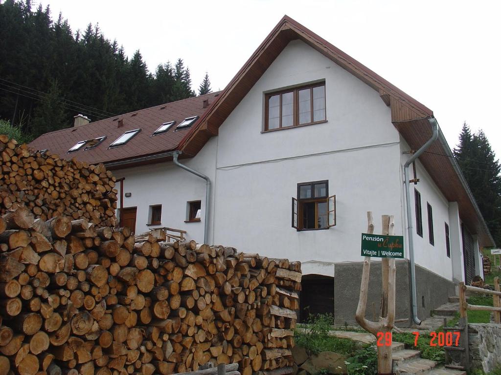 Mlynky Penzión u Čupku的前面有一堆木头的房子