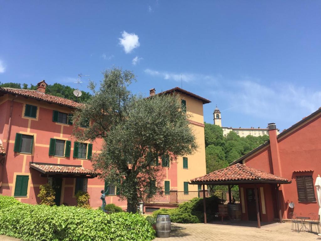 Serralunga di CreaTenuta Tenaglia的庭院里一棵树的建筑群
