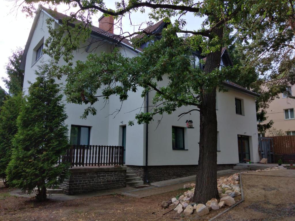 MátrafüredDiana Panzió的前面有一棵树的白色房子