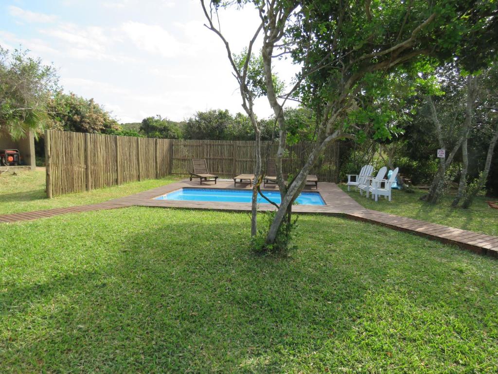 蓬塔杜欧鲁Baleia Azul 16A&C的后院设有游泳池和树
