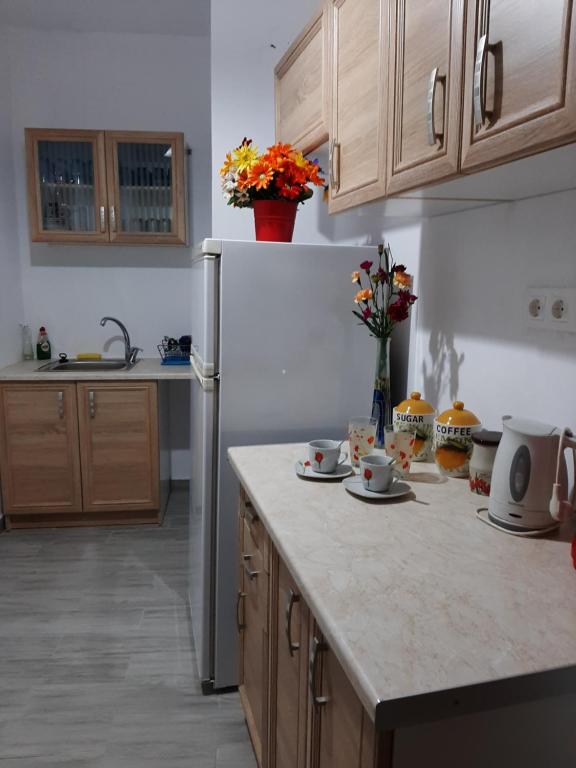斯基亚索斯镇莫利亚酒店的厨房配有白色冰箱和木制橱柜。