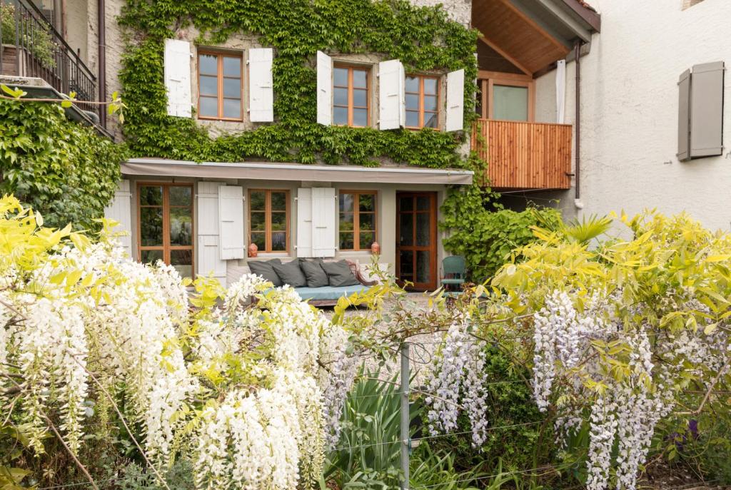 日内瓦Wonderlandscape Guest House的一座花园,在房子前有白色的花朵