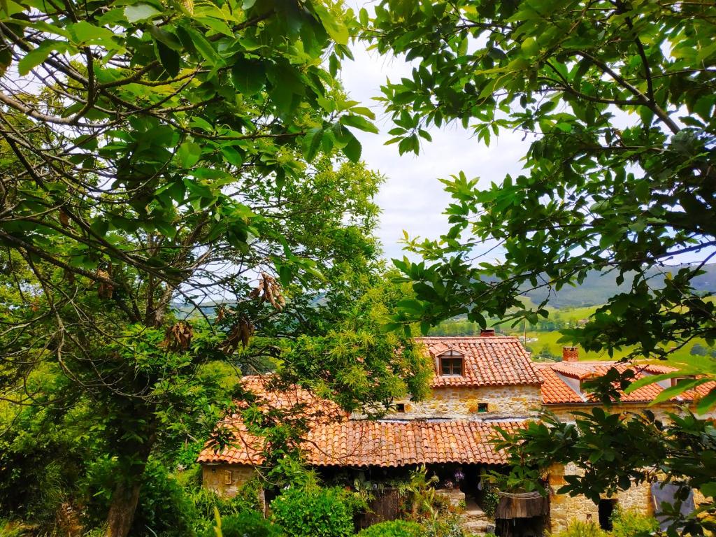 La CavadaApartamento en Plena Naturaleza的树中间的一座老房子