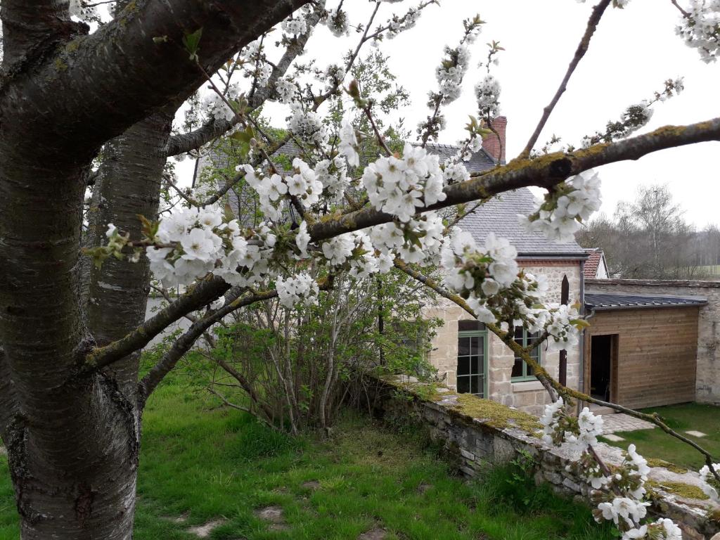 RévillonLE RELAIS的屋前有白色花的树