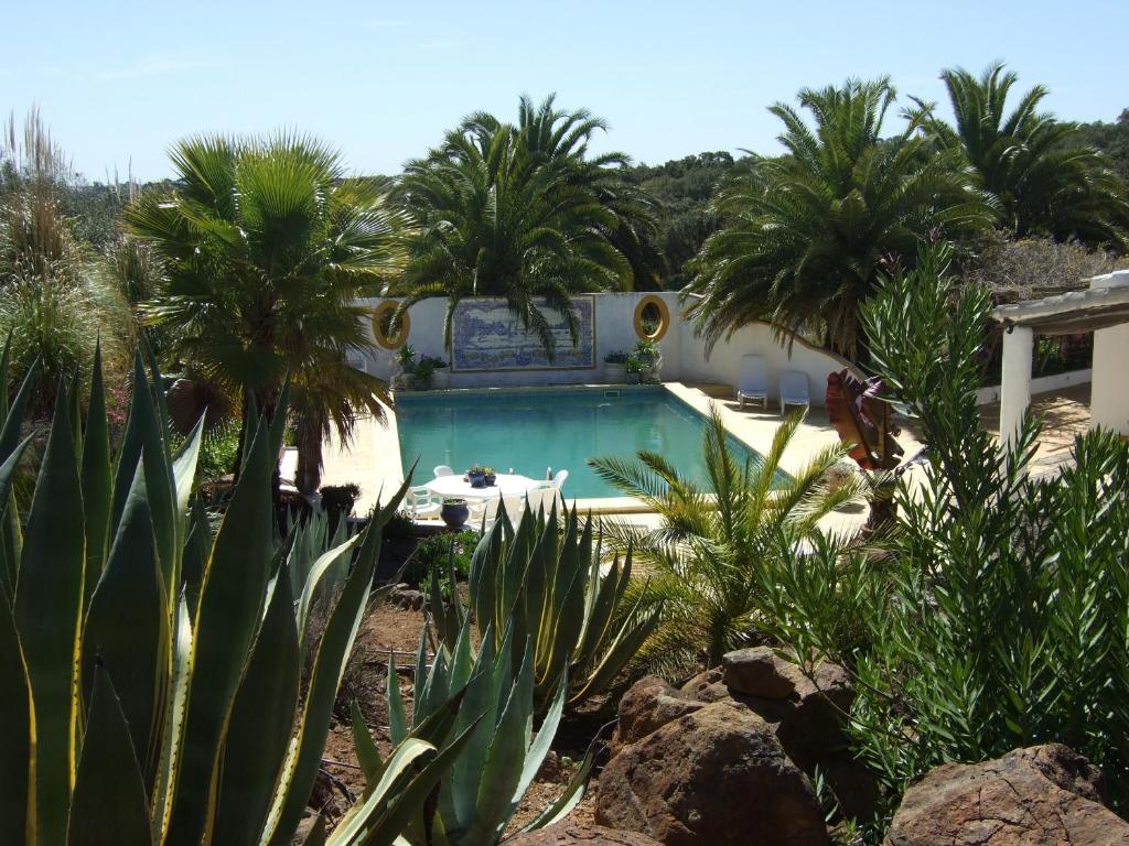 埃武拉金塔卡诺旅馆的棕榈树庭院内的游泳池