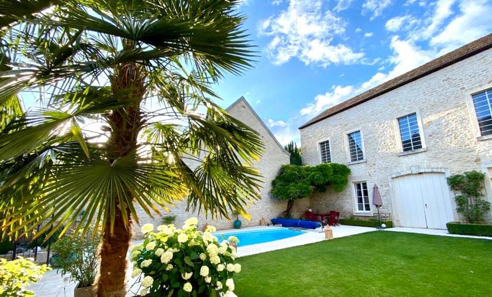 莫索特"LE JARDIN" Chambre de charme, piscine à Meursault的棕榈树,在一座带游泳池的房子前
