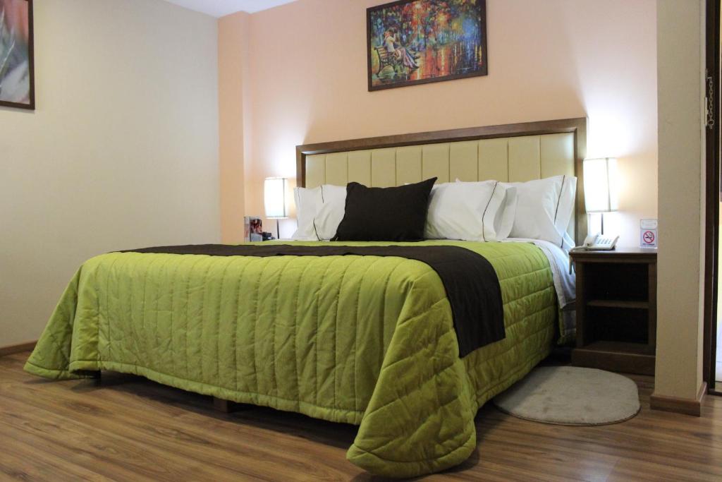 米内拉尔德尔蒙特Hotel JYE by Serranillo, Mineral del Monte Hgo的一间卧室配有一张带绿毯的大床