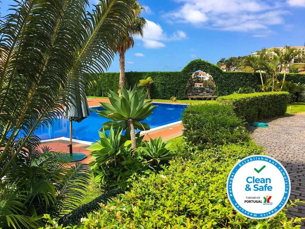 丰沙尔Casa Charmosa的一个带游泳池和棕榈树的度假村