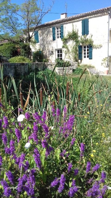 孔东Le Clot de Meste Duran的一座花园,在房子前面种有紫色的花朵