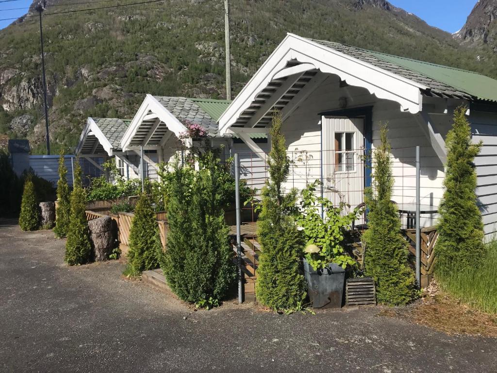 艾菲约德埃德福德海特度假屋的前面有植物的白色房子