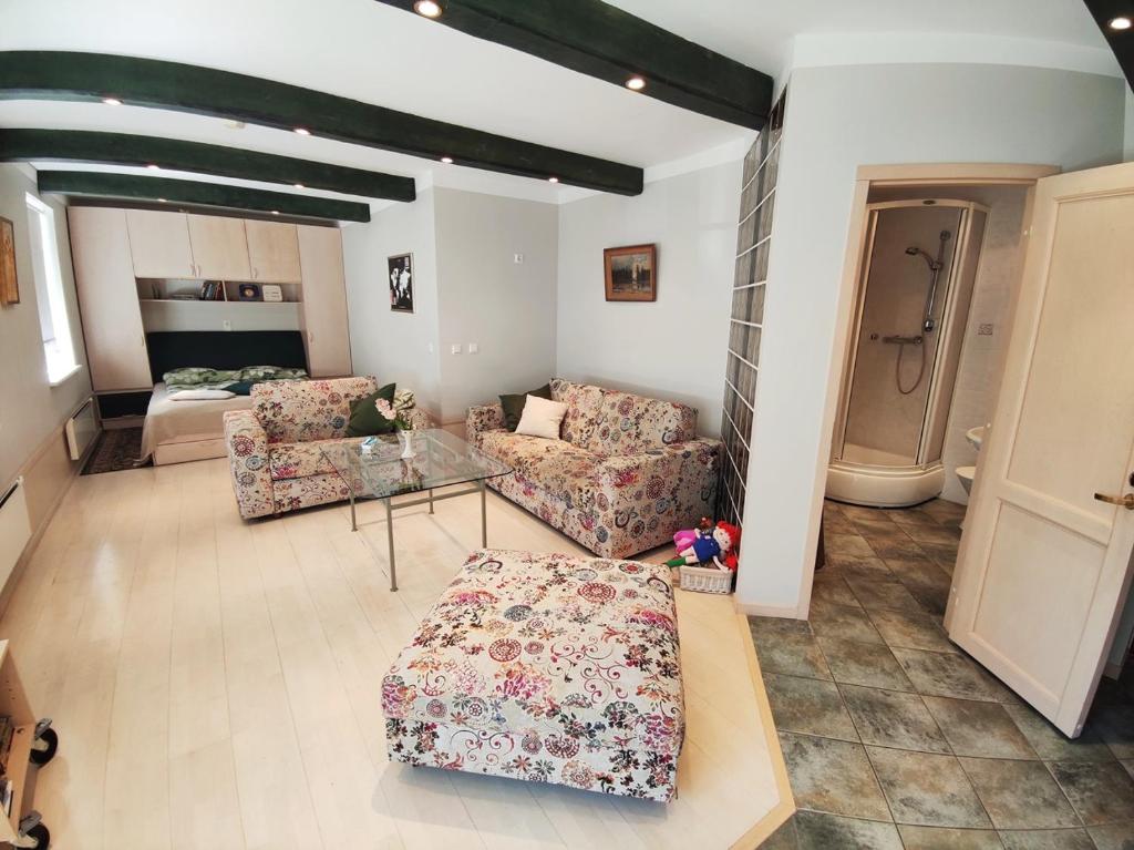 库雷萨雷普艺公寓 的客厅配有两张沙发和一张桌子