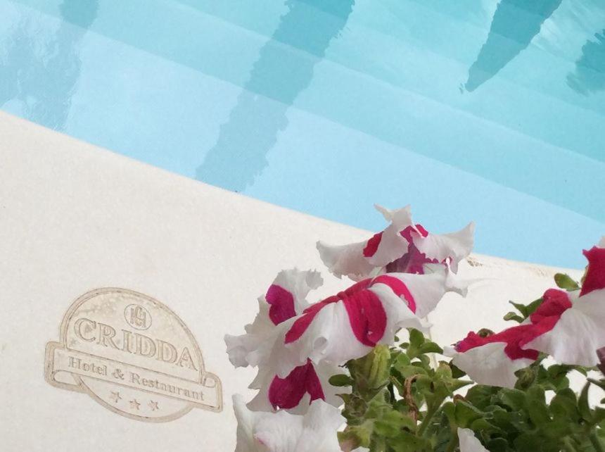 吉泽里亚克里达酒店及餐厅的游泳池旁的一束白色和红色的花