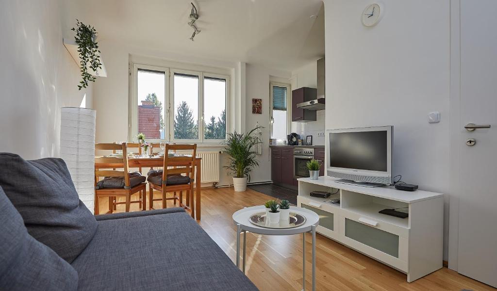 格拉茨Gemütliches Apartment in zentraler Lage的客厅配有沙发和带电视的桌子