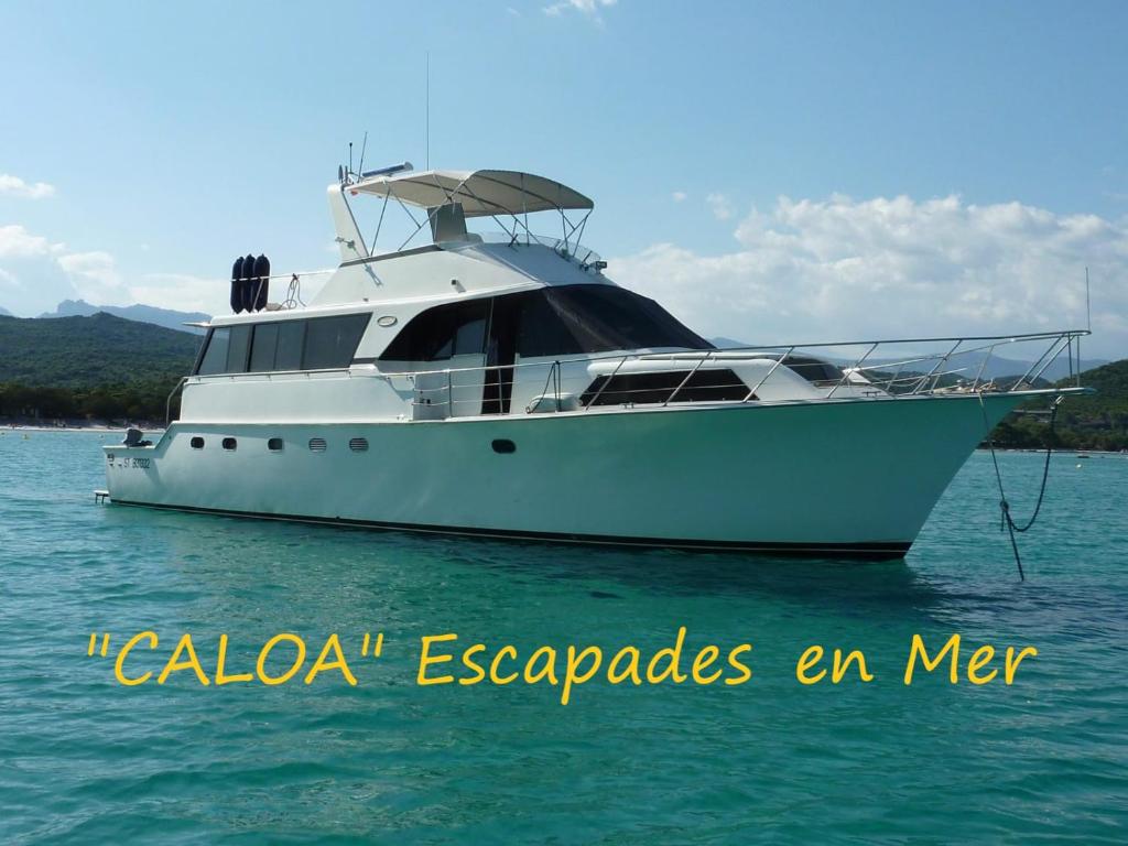 维琪奥港Ocean Yacht Trawler - Le Caloa的水面上的白色船