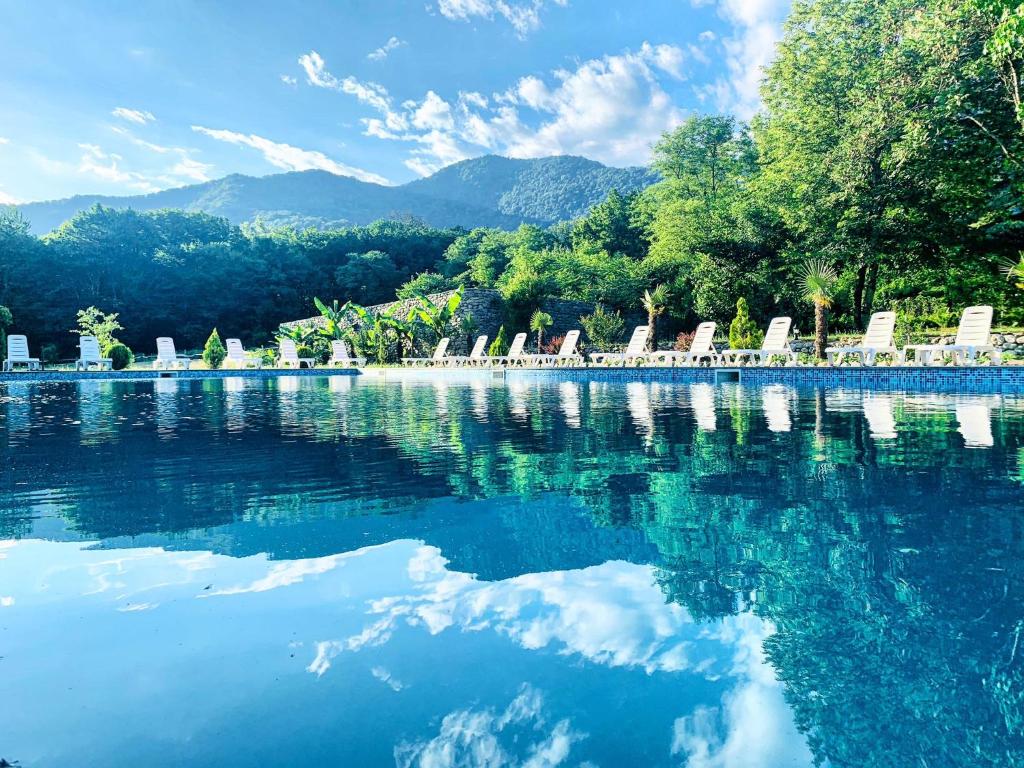 拉戈代希Royal Palace Hotel, Lagodekhi的一个带椅子和树木的蓝色海水游泳池