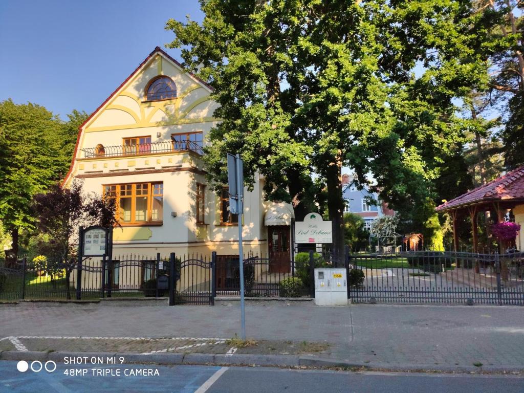 斯维诺乌伊希切Willa Pod Dębami的前面有一棵树的白色房子