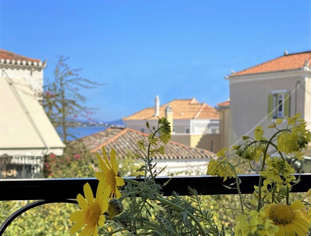 斯派赛斯Summer house in Spetses的阳台上可欣赏到一些黄色花卉的景色