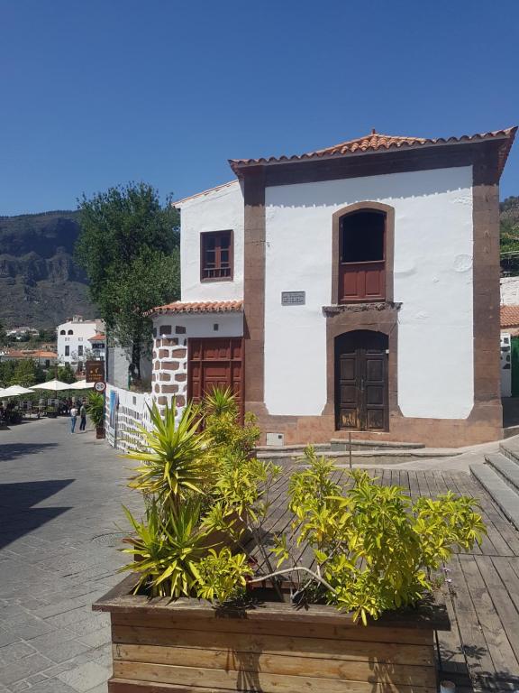 克鲁兹·德·特赫达RK La Casona de Tejeda的一座白色和棕色的建筑,前面有植物
